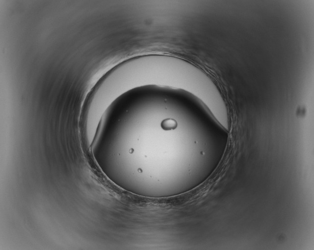 X0000115240292200911201626