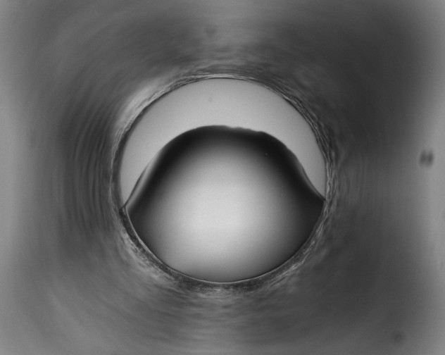 X0000115240293200911201626