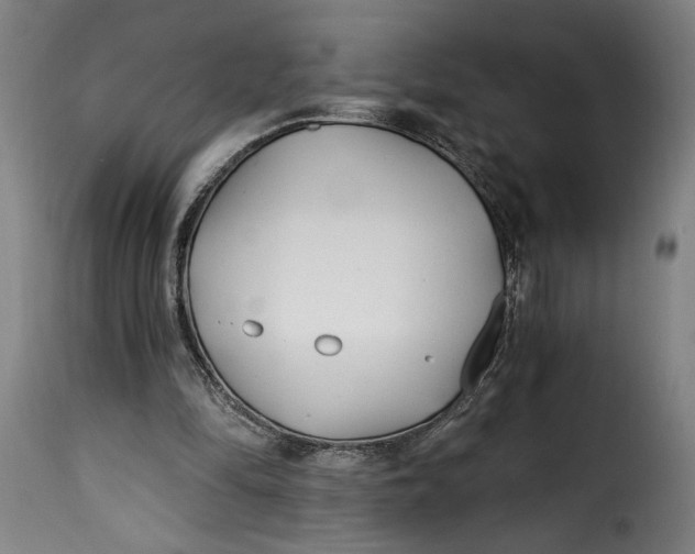 X0000115240294200911201626