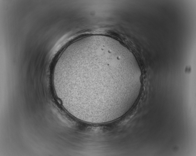 X0000115240295200911201626