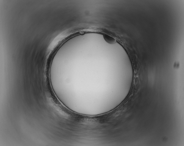 X0000115240296200911201626