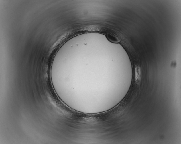 X0000115240300200911201626