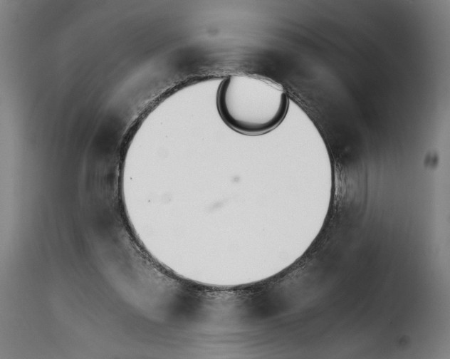 X0000115240301200911201626