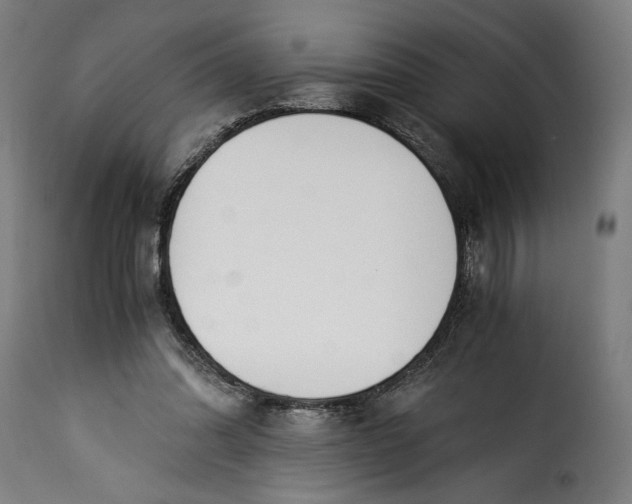 X0000115240302200911201626