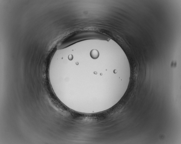 X0000115240303200911201626