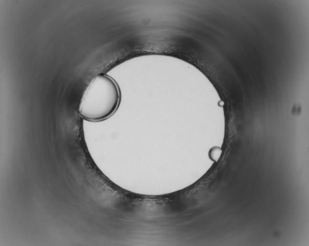 X0000115240305200911201626