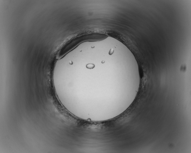 X0000115240306200911201626