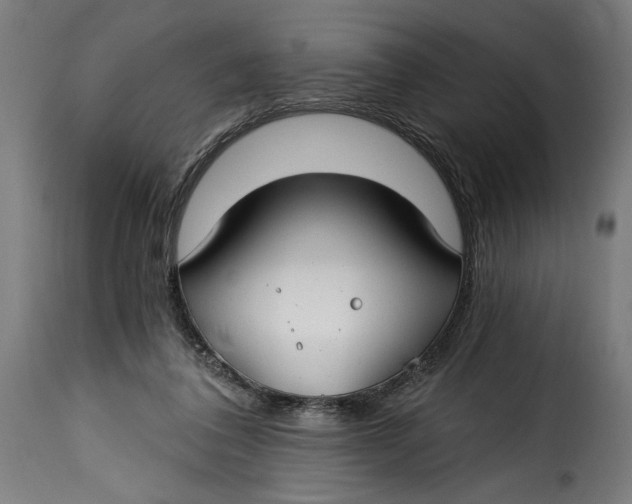 X0000115240308200911201626