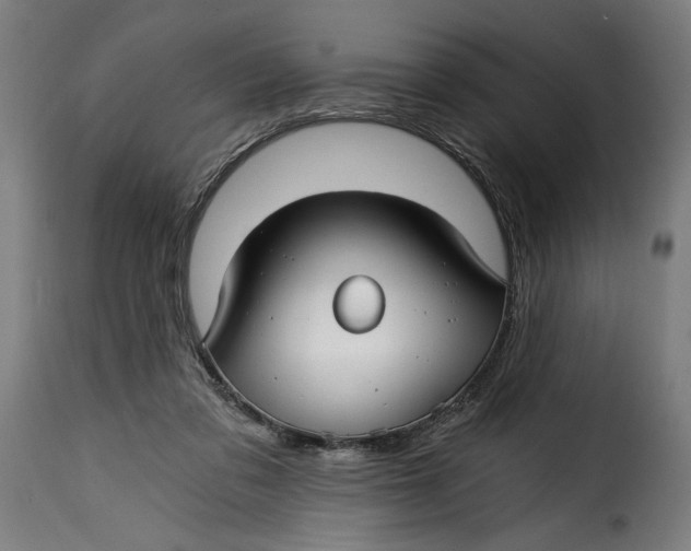 X0000115240309200911201626