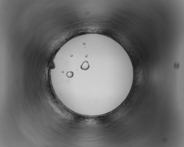 X0000115240310200911201626
