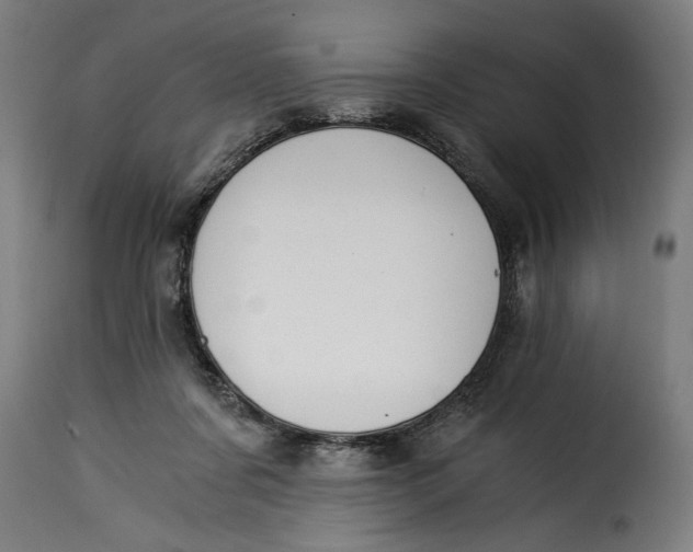 X0000115240311200911201626