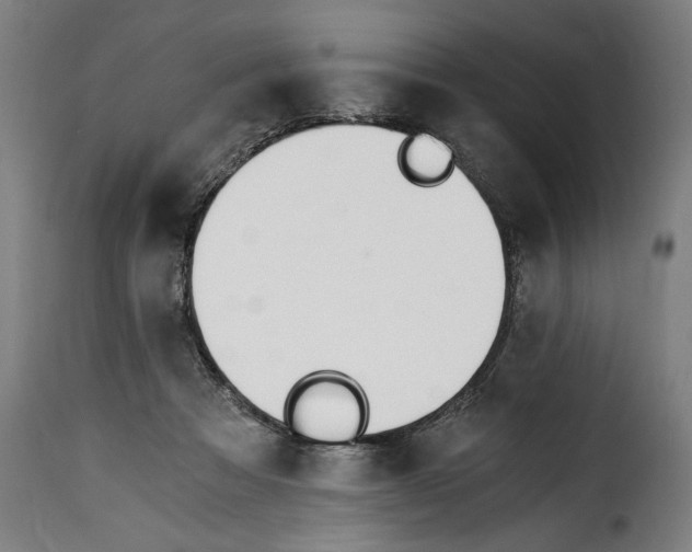 X0000115240313200911201626