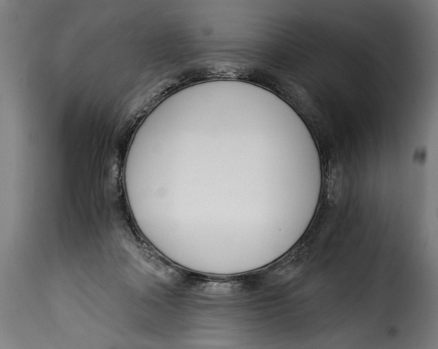 X0000115240314200911201626