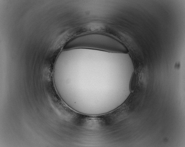 X0000115240316200911201626