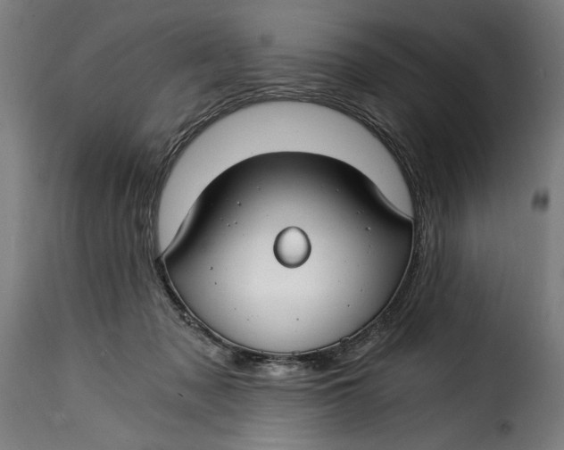 X0000115240317200911201626