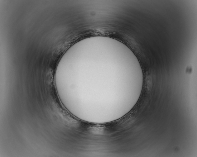 X0000115240318200911201626