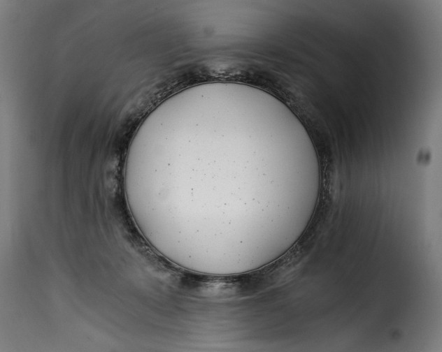 X0000115240319200911201626
