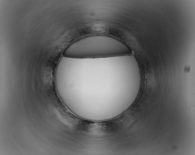 X0000115240320200911201626