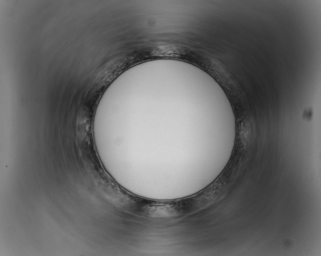X0000115240322200911201626