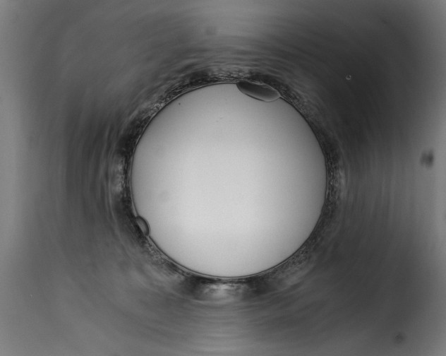 X0000115240323200911201626