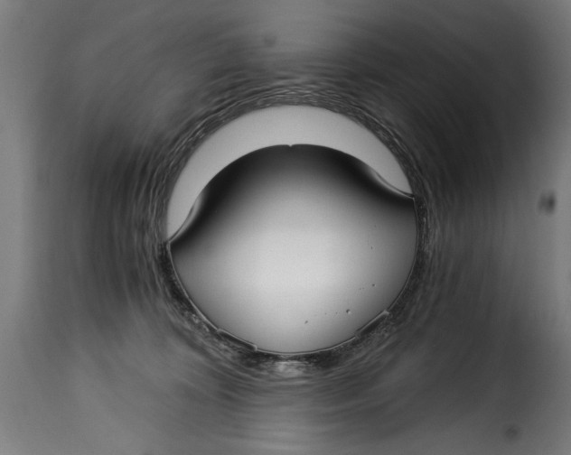 X0000115240324200911201626