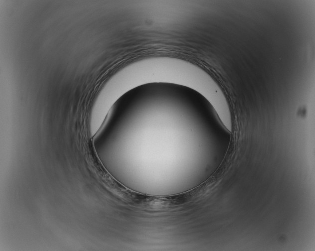 X0000115240325200911201626