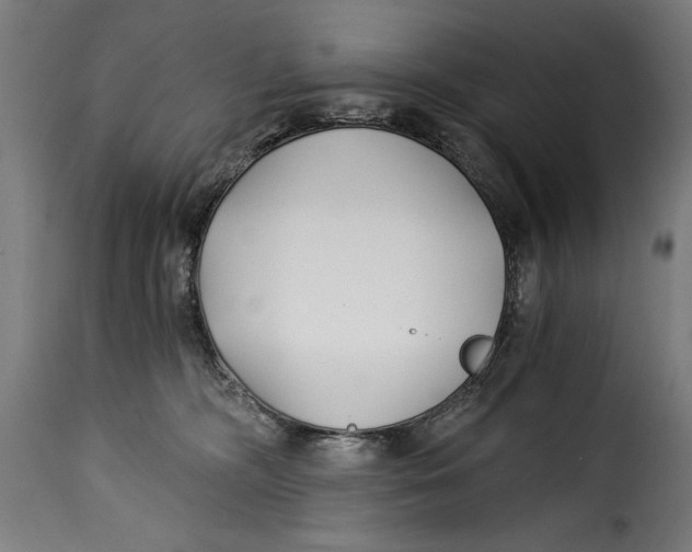 X0000115240326200911201626
