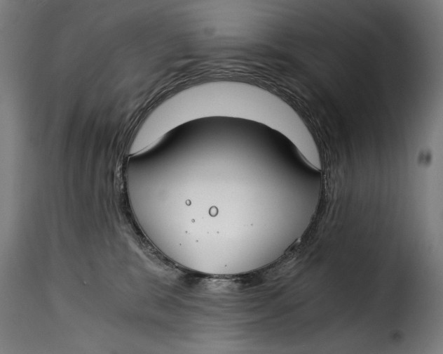 X0000115240327200911201626