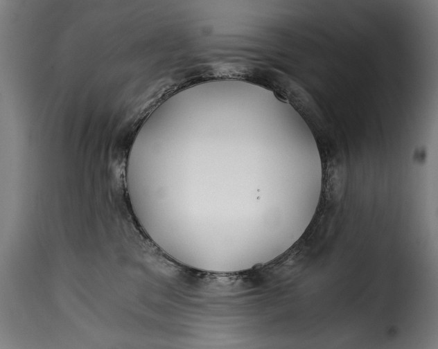 X0000115240329200911201626