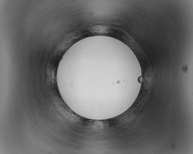X0000115240330200911201626