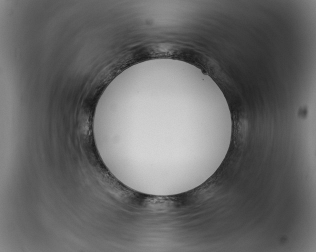 X0000115240331200911201626