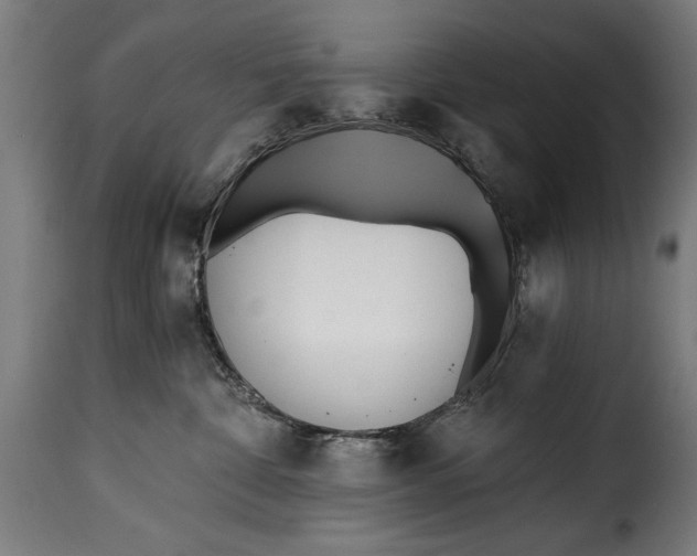 X0000115240332200911201626