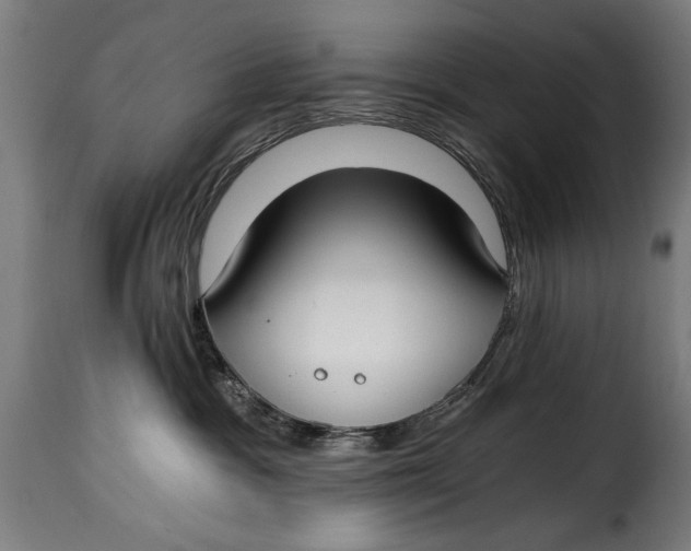 X0000115240333200911201626