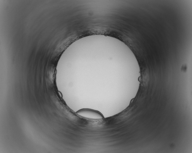 X0000115240334200911201626