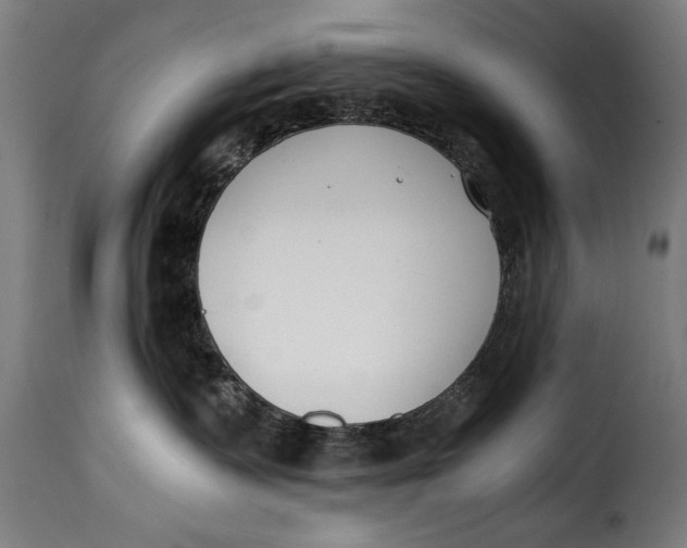 X0000115240335200911201626