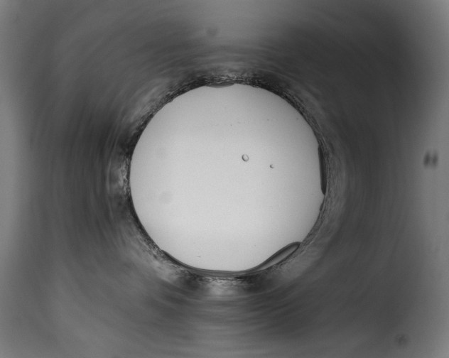 X0000115240336200911201625