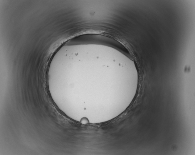 X0000115240337200911201625