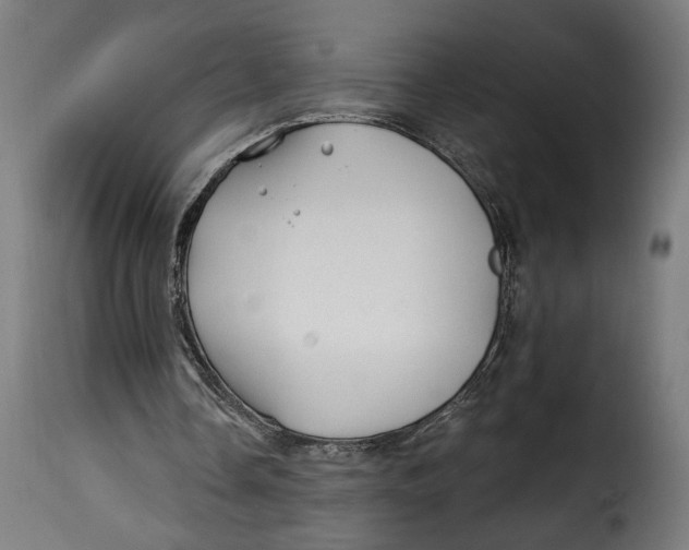 X0000115240338200911201625
