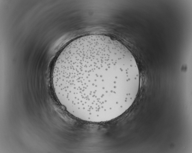 X0000115240339200911201625