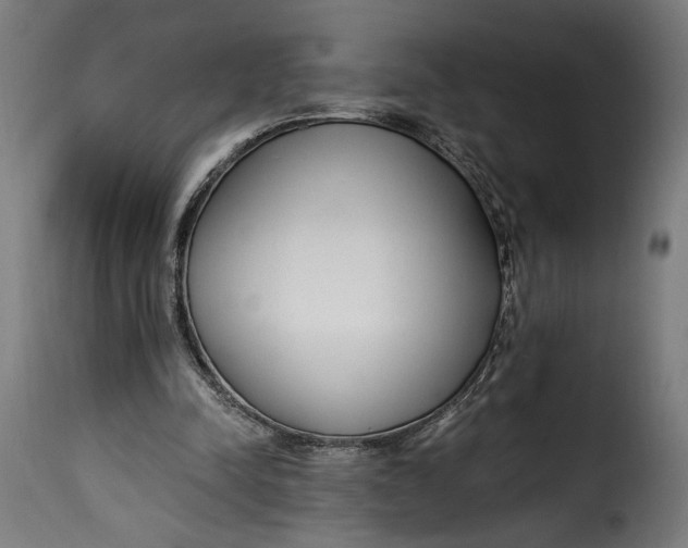 X0000115240342200911201625