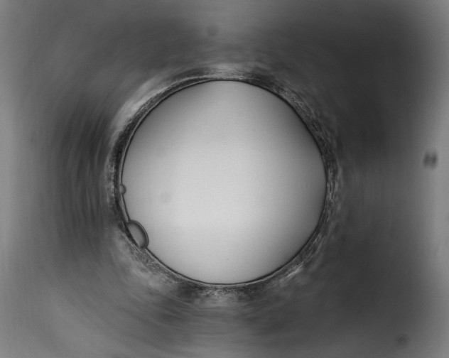 X0000115240343200911201625