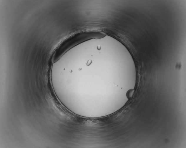 X0000115240346200911201625