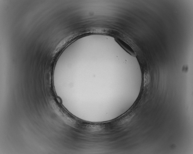 X0000115240349200911201625