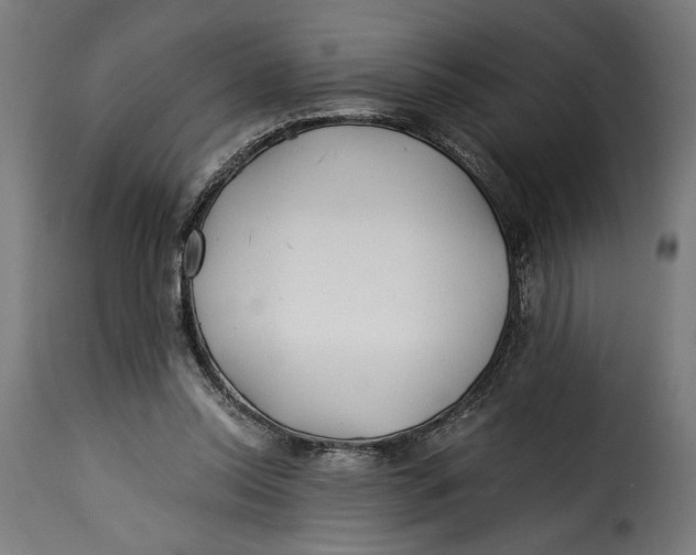 X0000115240350200911201625