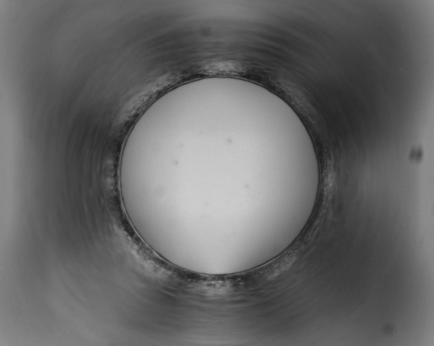 X0000115240353200911201625