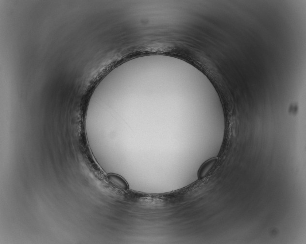 X0000115240354200911201625