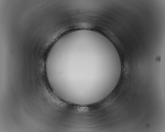 X0000115240355200911201625
