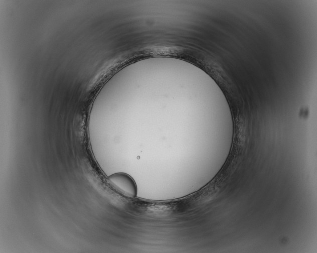 X0000115240357200911201625