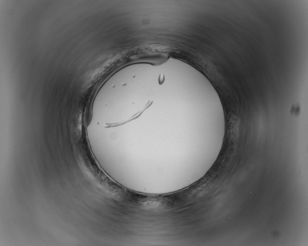 X0000115240358200911201625