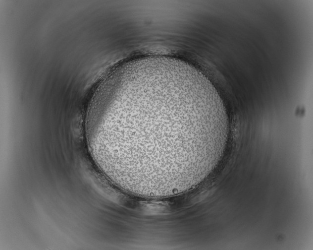 X0000115240359200911201625